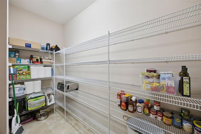 588 AUTUMN ASH DRIVE, Clermont, FL 34715