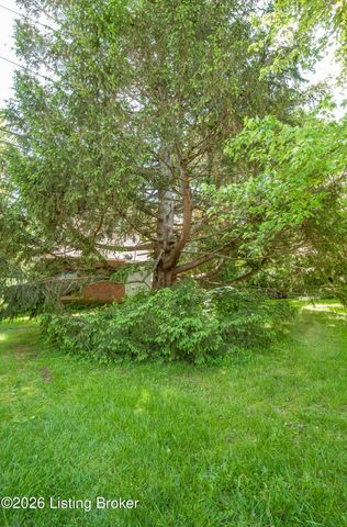 357 Ridgeway Ave, Louisville, KY 40207