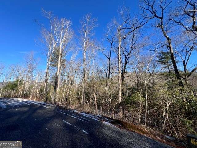 LOT 10 Kennedys Court, Blairsville, GA 30512