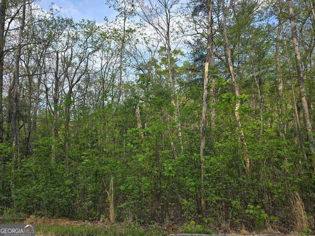 LOT 10 Kennedys Court, Blairsville, GA 30512