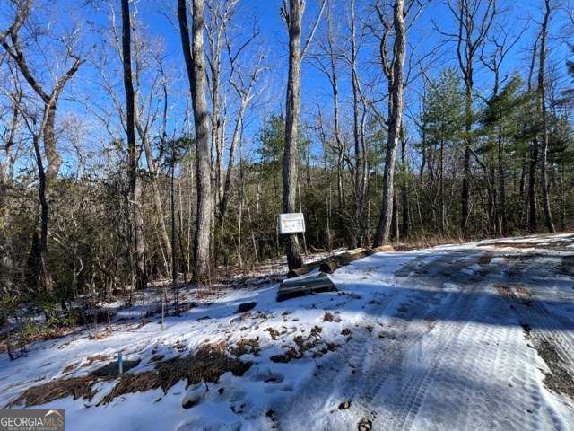 LOT 10 Kennedys Court, Blairsville, GA 30512