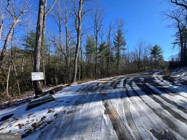 LOT 10 Kennedys Court, Blairsville, GA 30512