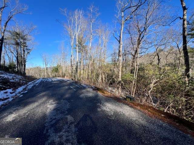 LOT 10 Kennedys Court, Blairsville, GA 30512
