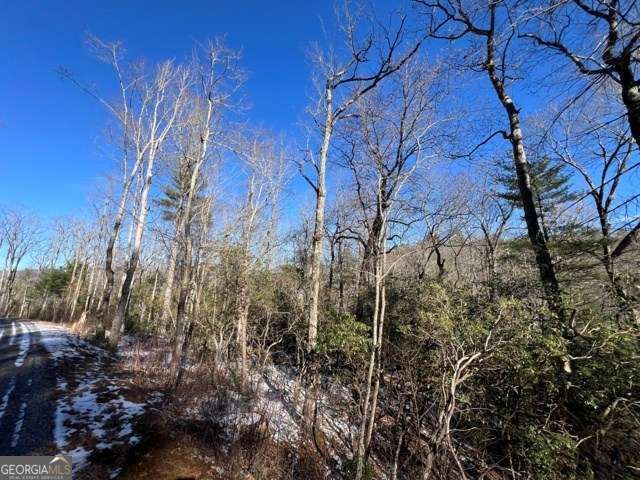 LOT 10 Kennedys Court, Blairsville, GA 30512