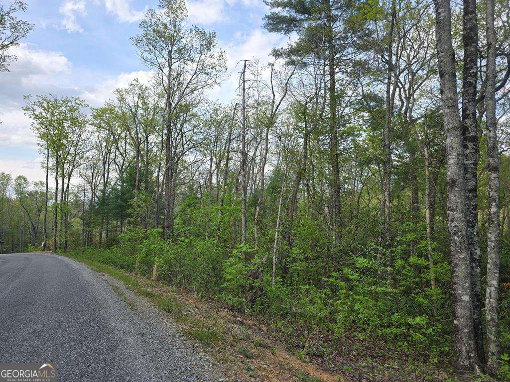 LOT 10 Kennedys Court, Blairsville, GA 30512