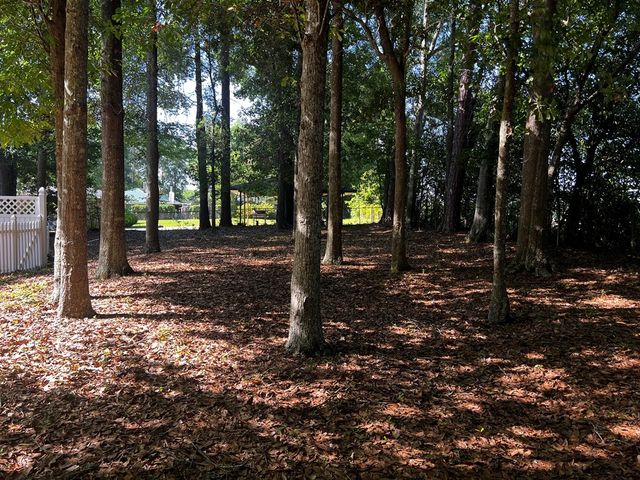 123 Vann Drive, Ashford, AL 36312