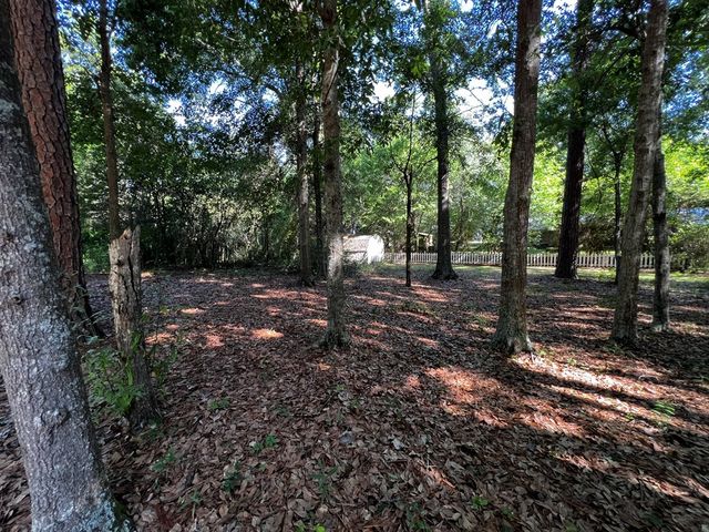 123 Vann Drive, Ashford, AL 36312