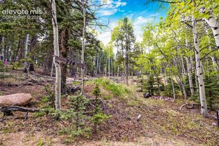 714 Will Stutley Drive, Divide, CO 80814
