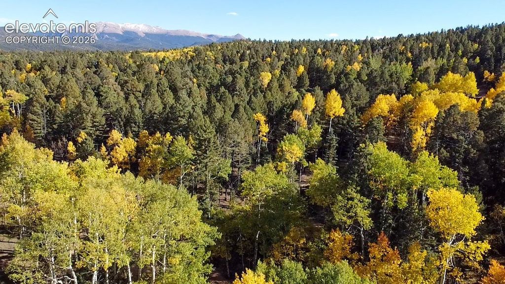 714 Will Stutley Drive, Divide, CO 80814 — exterior