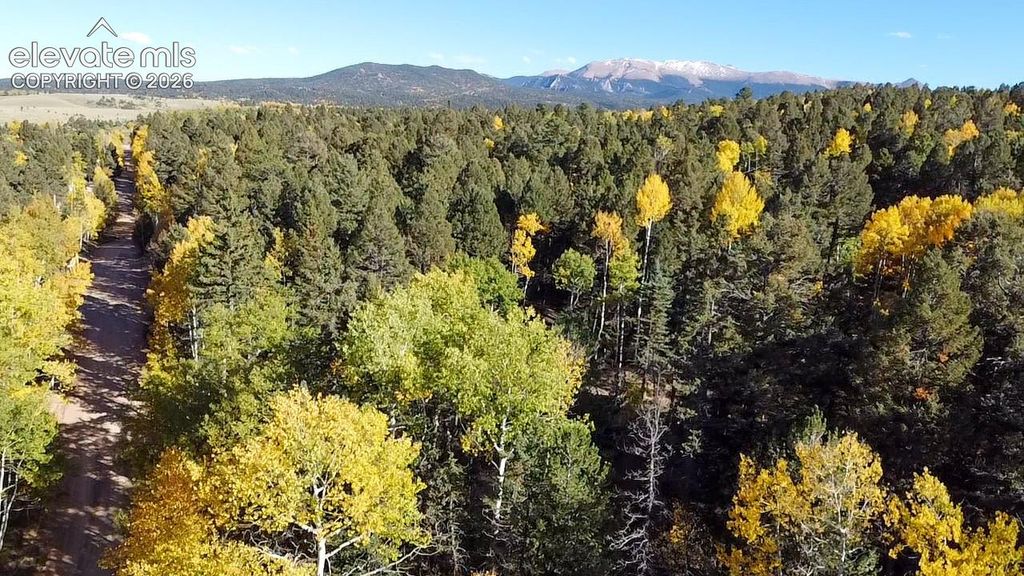 714 Will Stutley Drive, Divide, CO 80814 — photo 2