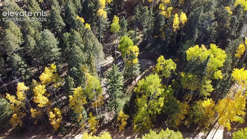 714 Will Stutley Drive, Divide, CO 80814 — photo 3