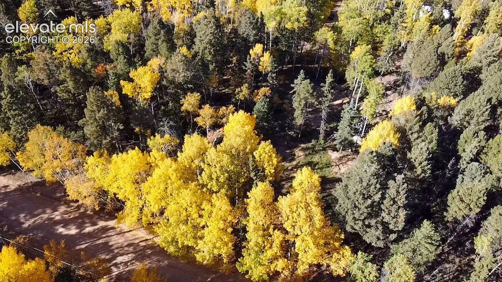 714 Will Stutley Drive, Divide, CO 80814 — photo 5