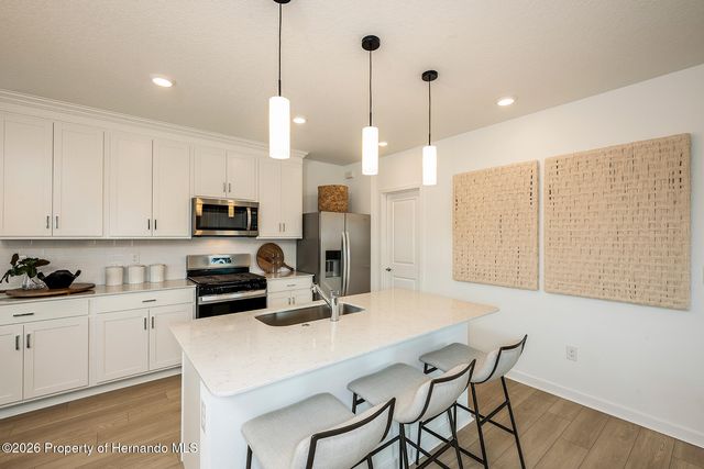 3853 Benham Rise Road, Spring Hill, FL 34609