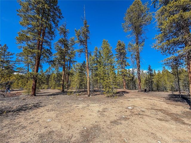 199 Cedar Dr, Twin Lakes, CO 81251