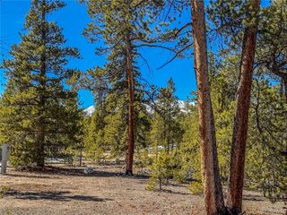 199 Cedar Dr, Twin Lakes, CO 81251