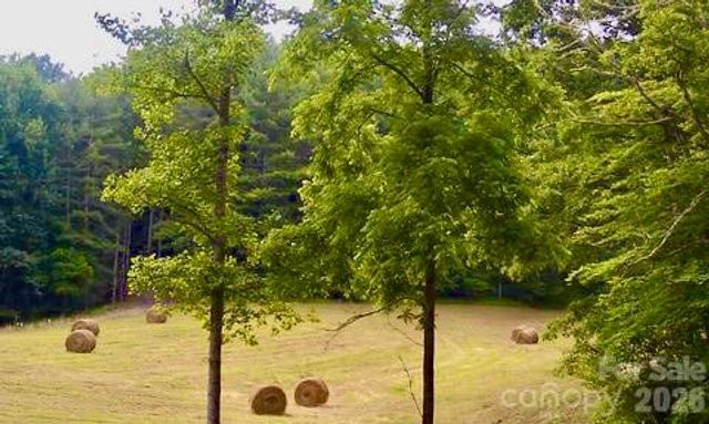 271 Amanda Drive 6A, Mars Hill, NC 28754