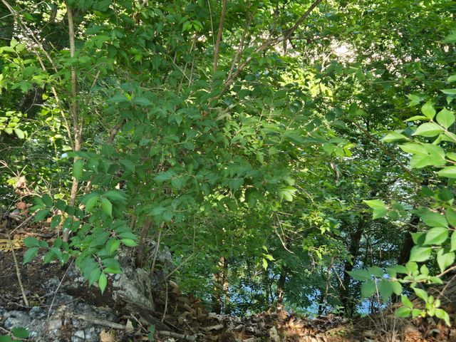 180 Beauchamp Boulevard, Somerset, KY 42503