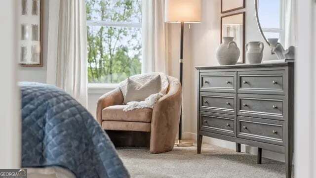 3965 Silver Pine Trail, Cumming, GA 30028