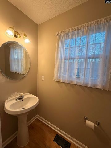 321 Delaine Woods Drive, Irmo, SC 29063