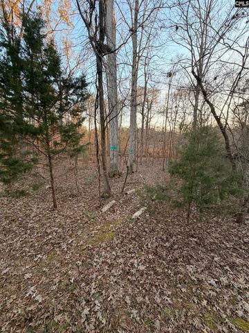 321 Delaine Woods Drive, Irmo, SC 29063