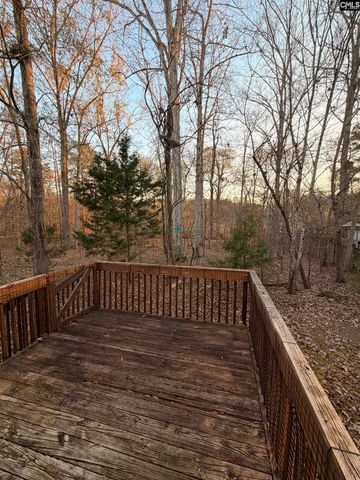 321 Delaine Woods Drive, Irmo, SC 29063