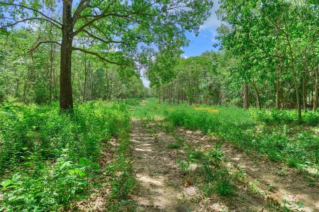 TBD Sharp View Road, Montgomery, TX 77356