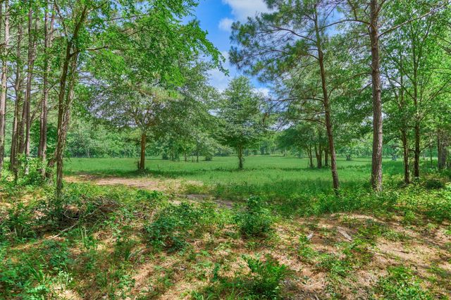 TBD Sharp View Road, Montgomery, TX 77356