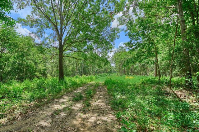 TBD Sharp View Road, Montgomery, TX 77356