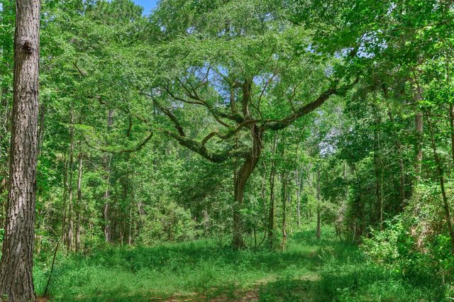 TBD Sharp View Road, Montgomery, TX 77356