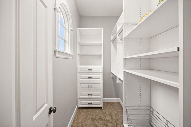 1408 Alabama Street, Houston, TX 77004