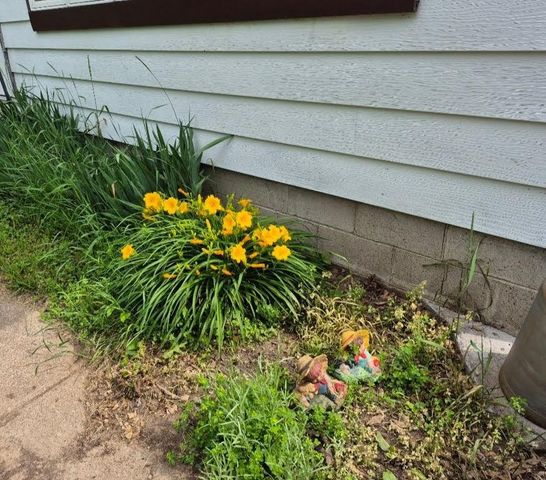 115 Keiper DRIVE, Minnesota City, MN 55959