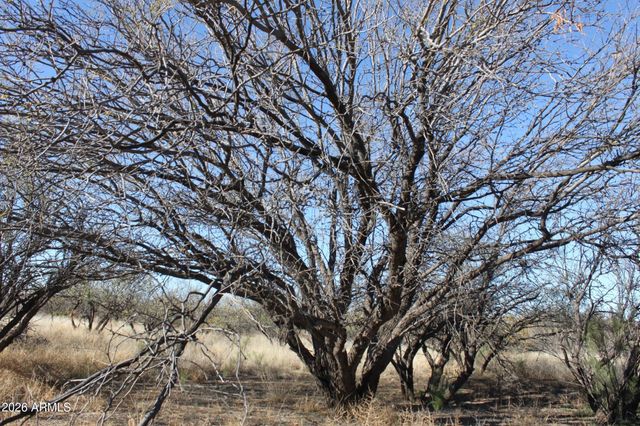 7197 S PINTEK Lane, Hereford, AZ 85615