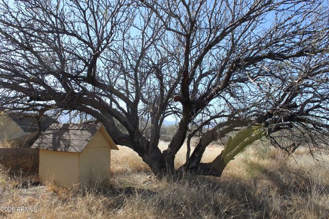 7197 S PINTEK Lane, Hereford, AZ 85615