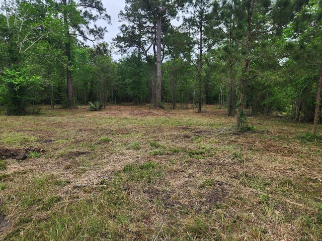 7203 Bayou Timbers Drive, Alvin, TX 77511