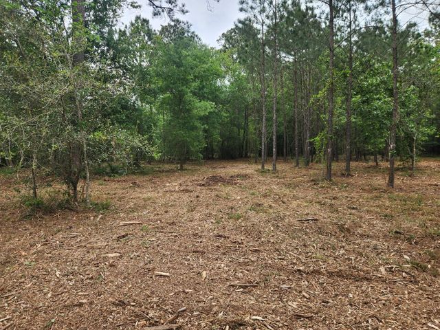 7203 Bayou Timbers Drive, Alvin, TX 77511