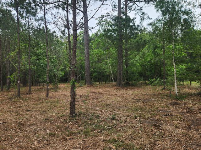 7203 Bayou Timbers Drive, Alvin, TX 77511