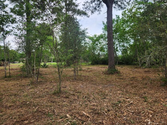 7203 Bayou Timbers Drive, Alvin, TX 77511