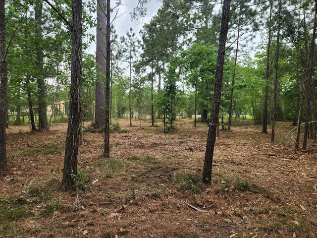 7203 Bayou Timbers Drive, Alvin, TX 77511