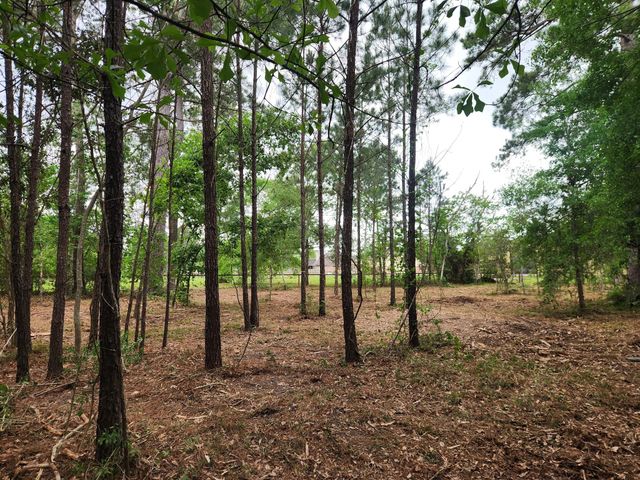 7203 Bayou Timbers Drive, Alvin, TX 77511