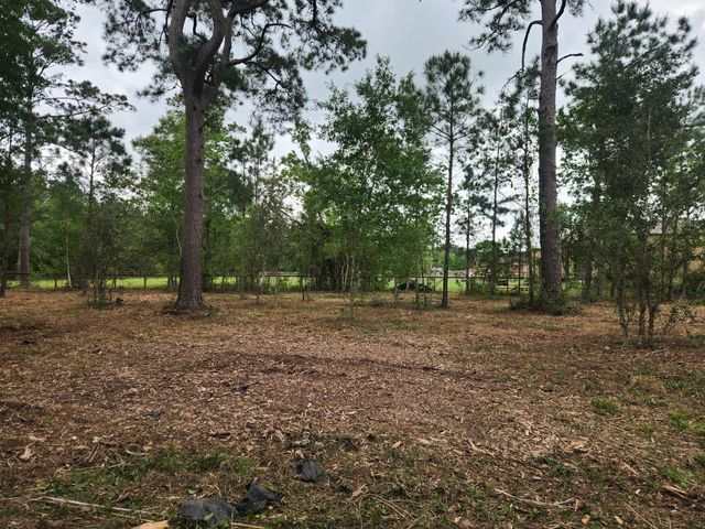 7203 Bayou Timbers Drive, Alvin, TX 77511