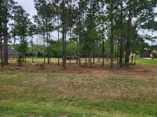7203 Bayou Timbers Drive, Alvin, TX 77511