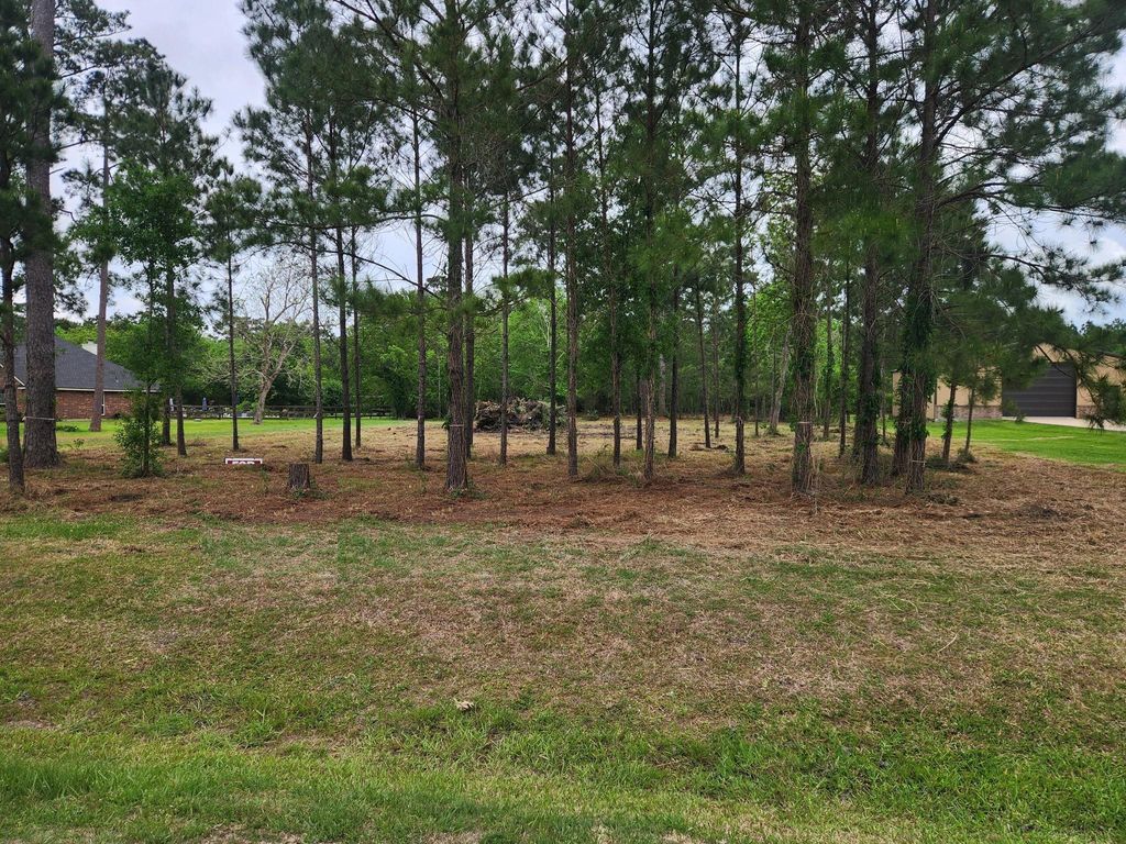 7203 Bayou Timbers Drive, Alvin, TX 77511