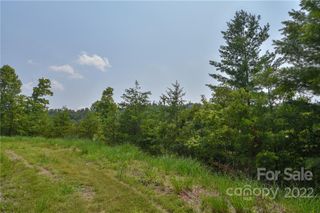 Lot 11 The Vines Boulevard Lot 11, Marshall, NC 28753