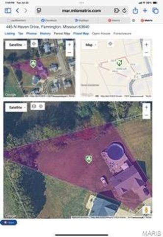 445 N Haven Drive, Farmington, MO 63640