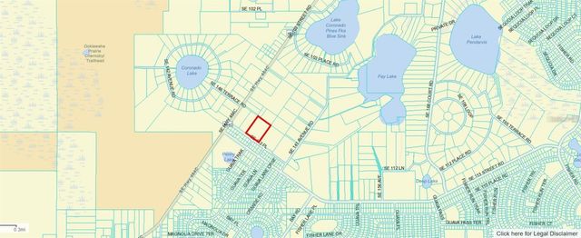 SW 112TH PLACE, Ocklawaha, FL 32179