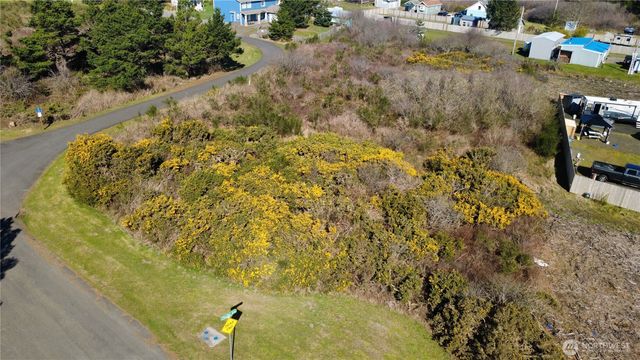 1 Francis Seamore Lane, Grayland, WA 98547