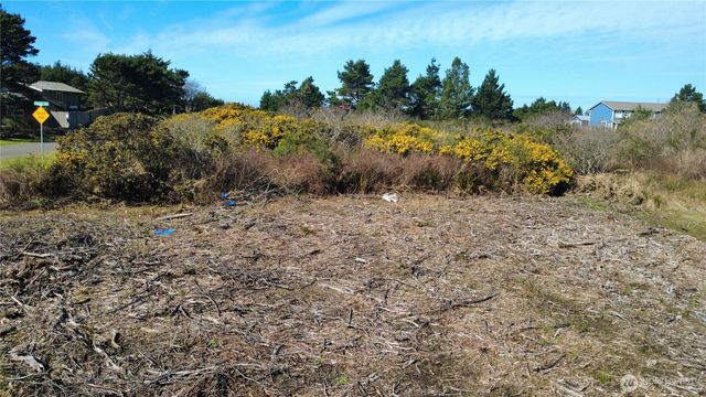 1 Francis Seamore Lane, Grayland, WA 98547