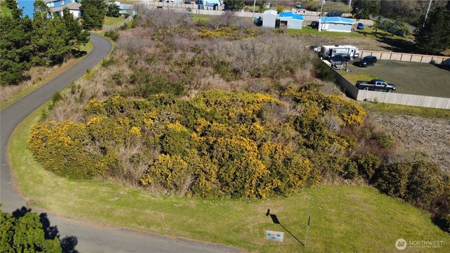 1 Francis Seamore Lane, Grayland, WA 98547