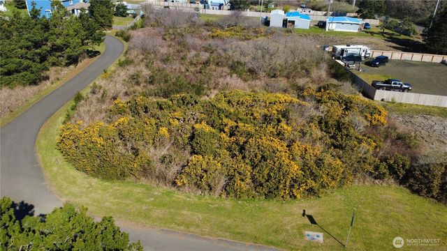 1 Francis Seamore Lane, Grayland, WA 98547