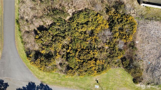 1 Francis Seamore Lane, Grayland, WA 98547